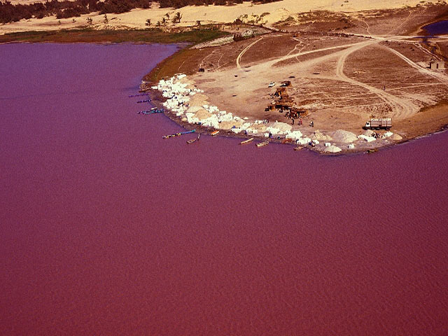 Lac Rose