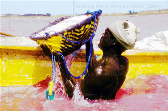 salt fisheman at work - Retba lake